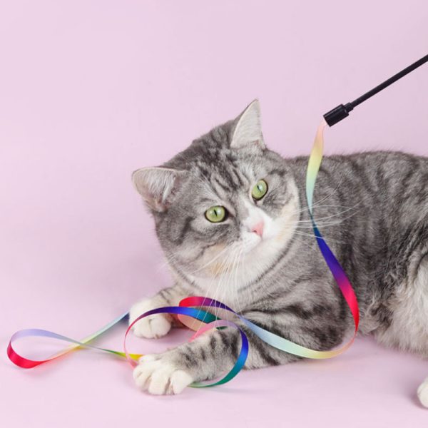Katze Spielzeug, Katzenangel Regenbogenbänder mit elastischem Kunststoffgriff & 100 cm Regenbogenbänder für endlosen Spielspaß – Bild 3