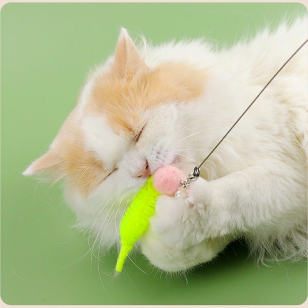 Katze Spielzeug, Teleskopisch Klingel Feder Katzenangeln mit Fische, Schmetterlinge & Libellen, Unterhaltungsspiele für Katzen – Bild 7
