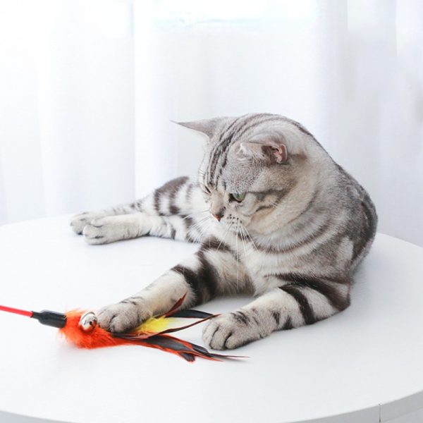 Katzenspielzeug, Katzenangeln mit Federn & Glöckchen, 50cm Lange Stange, Zufällige Farbe für endlosen Spaß – Bild 7