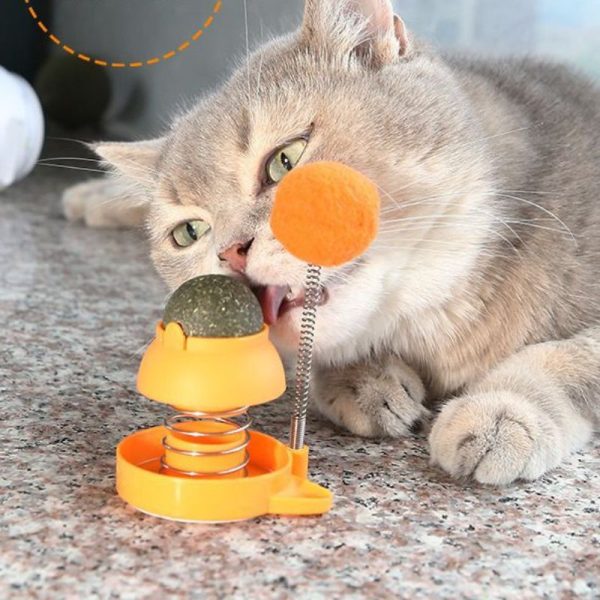 Katzen Spielzeug, Springspielzeug mit Katzenminze für Katzen, Bunte Auswahl in Rosa und Orange – Bild 5