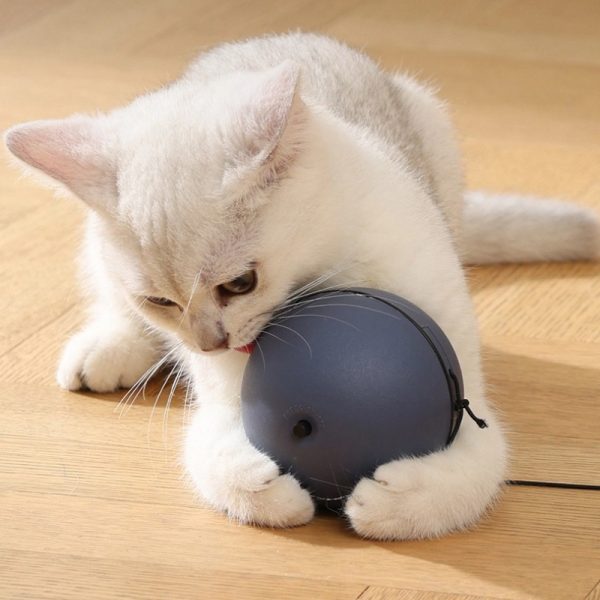 Katzenspielzeug elektrisch, Interaktives Katzenball mit Mause-Spielzeug, 8,1 cm Durchmesser, Grau, für aktive Katzen – Bild 3