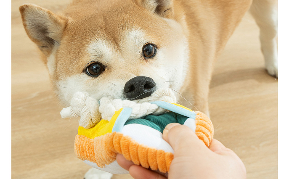 kauspielzeug für hunde - Pawsometime