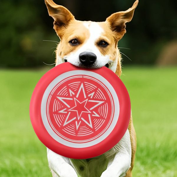Hundespielzeug, Hundefrisbee, EVA Nachtleuchtendes Interaktives & Wasserspielzeug für Alle Hunderassen, Zufällige Farbe – Bild 6