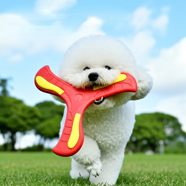 Hund Spielzeug, Hundefrisbee, EVA Dreiblatt-Bumerang, Weiches & Sicheres für Draußen interaktive Spiele, Farben zufällig – Bild 5