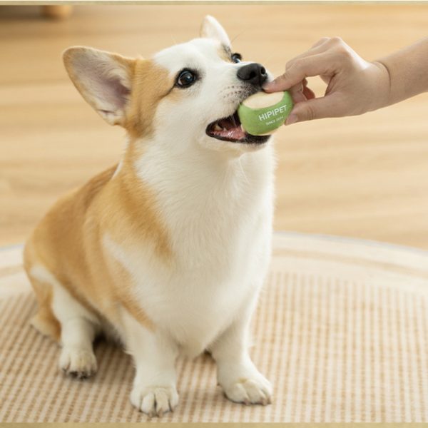 Kuscheltier für Hunde, Tennis und Tennisschläger Baumwolle Set mit Mehrere Geräuschen Orte, Spielzeug für Hunde in Drei Farben – Bild 6