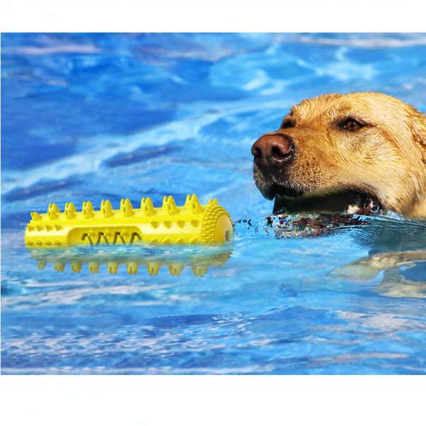 Hundespielzeug Unkaputtbar, Gezackter Beißstab, Hundespielzeug Quietsch & Wasserspielzeug Hund, Zähnermassage, 3 Farben – Bild 5