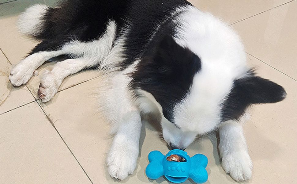 Kauknochen Hund - Pawsometime
