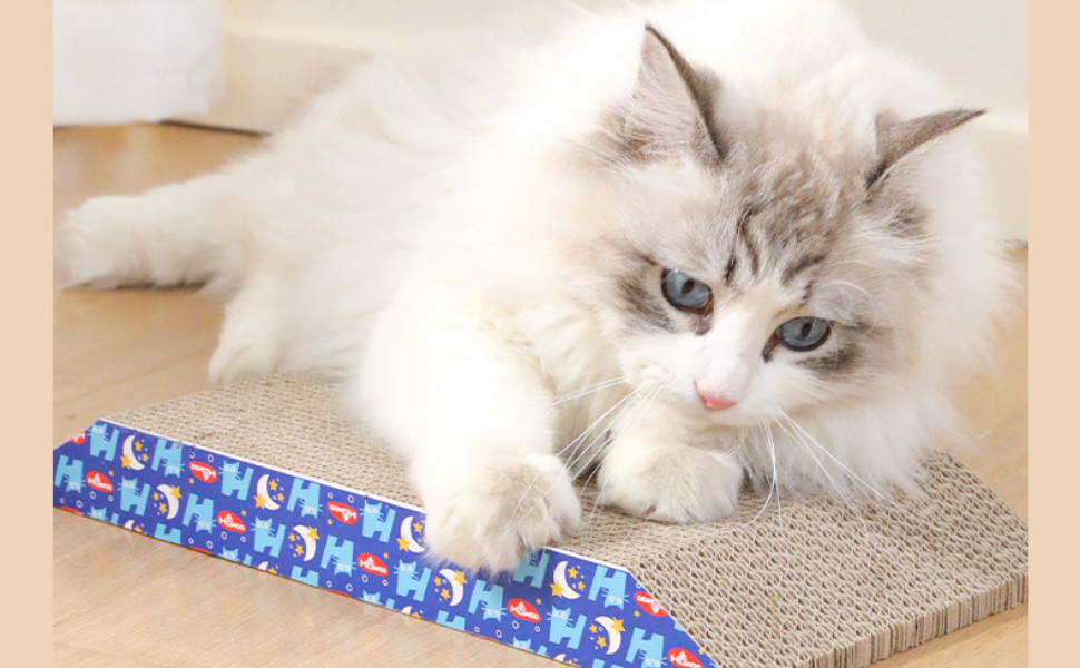 Kratzmatte für Katzen - Pawsometime