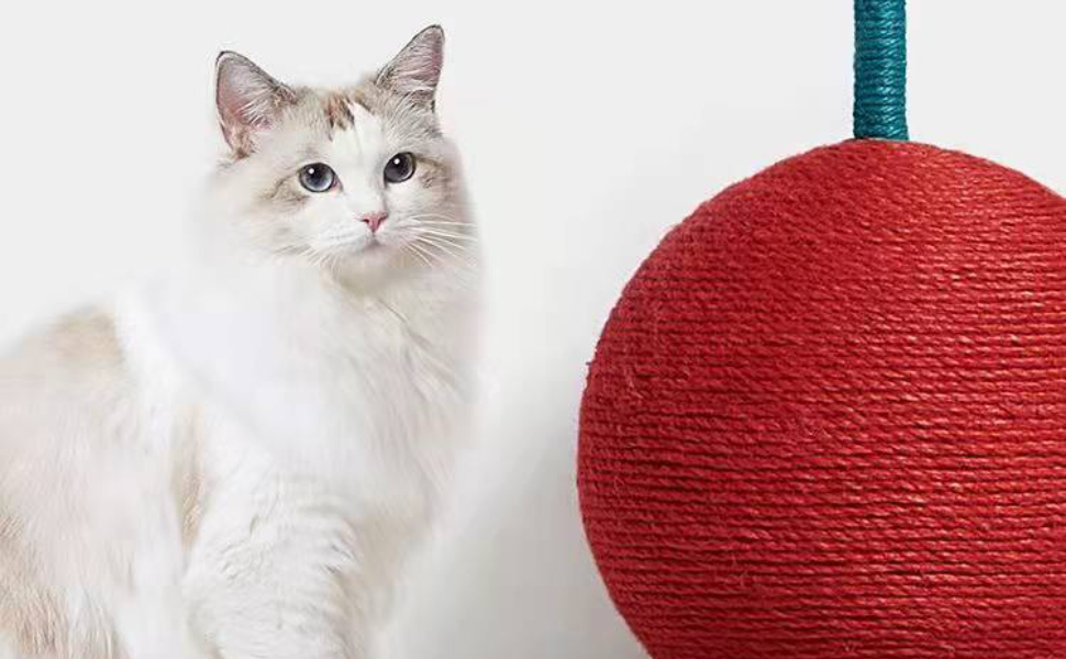 Kratzbaum für Katzen – Pawsometime