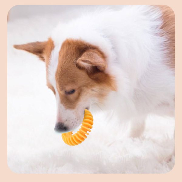 Hundespielzeug Unkaputtbar, Weich Halsband Beißspielzeug aus Gummi, Kauspielzeug für Hunde & Interaktive Spiele, Drei Farben – Bild 3