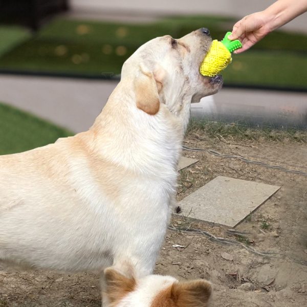 Hund Spielzeug, Gelber Ananas Kauartikel für Hunde, Verstecktes Lebensmitteldesign, Ideal zum Spielen und Füttern (2 Stücke) – Bild 8
