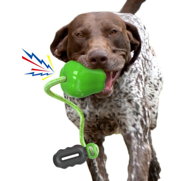 Hundespielzeug, Apfel-Kauspielzeug für Hunde, Hundespielzeug Quietschen, zwei Farben, geeignet für Outdoor-Aktivitäten – Bild 4