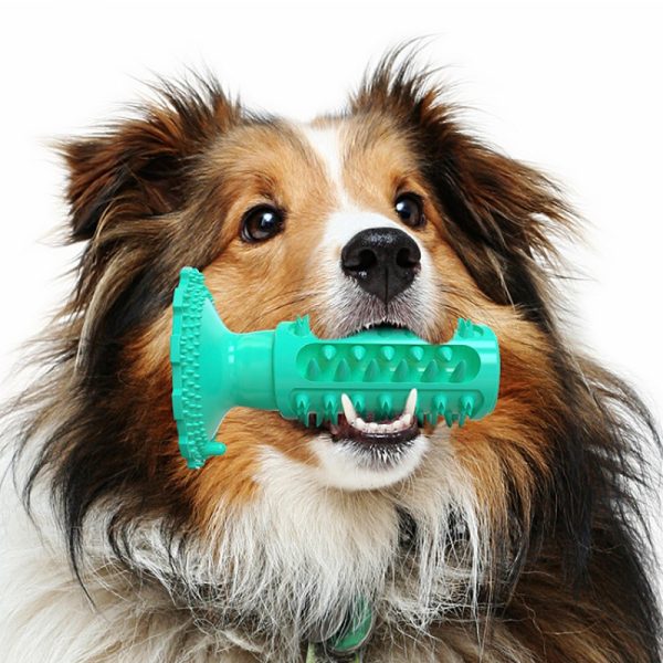 Hundespielzeug Unkaputtbar, Beißstab, Hundespielzeug Quietsch, Hundezahnbürste, drei Farben, geeignet für Hunde jeder Größe – Bild 3