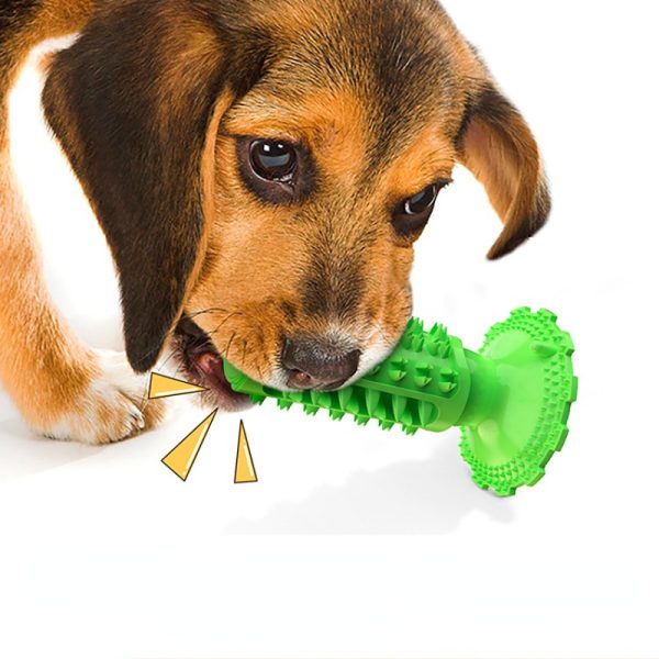 Hundespielzeug Unkaputtbar, Beißstab, Hundespielzeug Quietsch, Hundezahnbürste, drei Farben, geeignet für Hunde jeder Größe – Bild 4