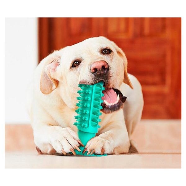 Hundespielzeug Unkaputtbar, Beißstab, Hundespielzeug Quietsch, Hundezahnbürste, drei Farben, geeignet für Hunde jeder Größe – Bild 5