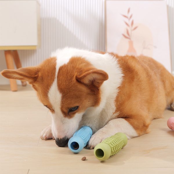 Hunde Spielzeug, TPR Zweikugel-Backenzahnstab, Kauspielzeug für Hunde, Interaktives Futterspielzeug für Hunde in drei Farben – Bild 5