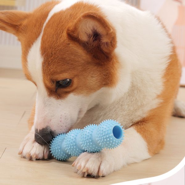 Spielzeug für den Hund, Vierkugel-Backenzahnstab aus TRP-Material, Bzerstörfest in drei Farben wählbar: Grün, Blau, Pink – Bild 6