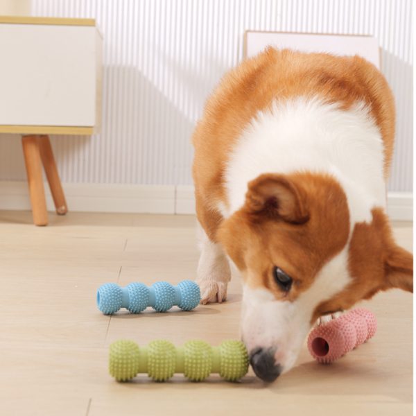 Spielzeug für den Hund, Vierkugel-Backenzahnstab aus TRP-Material, Bzerstörfest in drei Farben wählbar: Grün, Blau, Pink – Bild 5