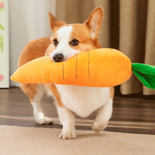 Kuscheltier für den Hund, Karotten-Spielzeug für Hunde mit BB-Sound, Drei Größen, Ideal zum Kauen und Spielen für alle Rassen – Bild 7