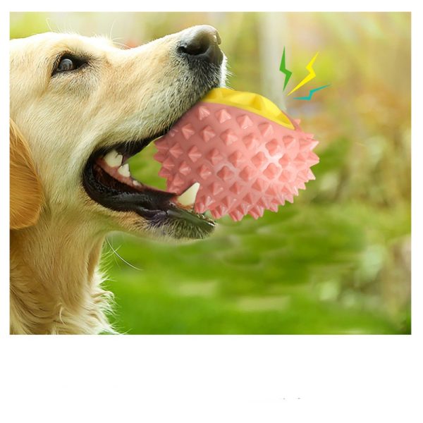 Spielzeug für den Hund, TRP Durian Kauball, Hundespielzeug Quietschen, Grün und Rosa, ideal für Wasserspiele & Saubere Zähne – Bild 6