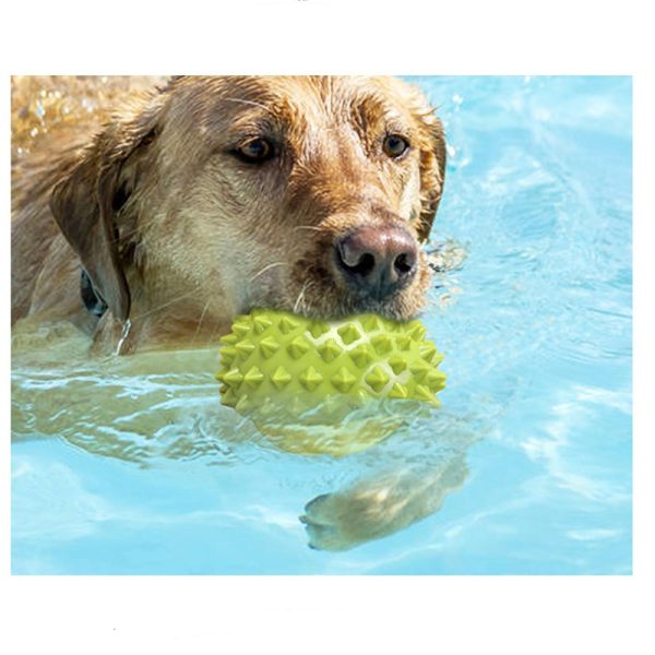 Spielzeug für den Hund, TRP Durian Kauball, Hundespielzeug Quietschen, Grün und Rosa, ideal für Wasserspiele & Saubere Zähne – Bild 5