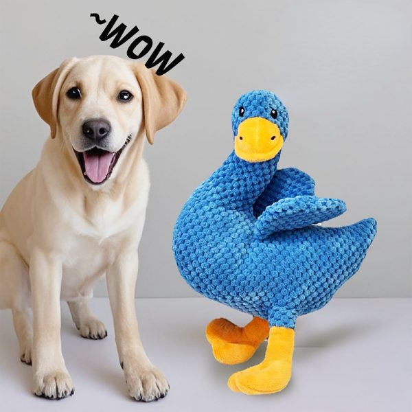 Kuscheltiere für Hunde, Schiefhals-Ente mit Quietscher, Drei Farben, ideal zum Kuscheln, Spielen & Zahnpflege für alle Hunde – Bild 4