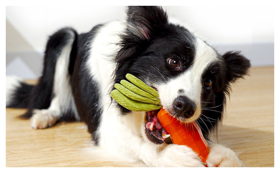 Kauspielzeug für Hunde - Pawsometime