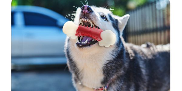 Kauknochen Hund, Rotes Nylon Doppelknochen-Kauspielzeug für Hunde, Fleischiges Aroma, Beißen & Spielen, Groß und Klein – Bild 4