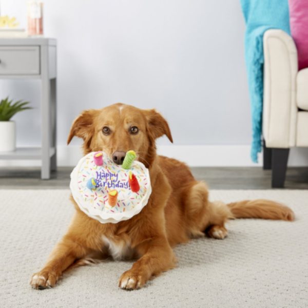 Kuscheltier für den Hund, niedliches Geburtstagskuchen, Welpenspielzeug, Perfekte Kauspielzeug für alle Hunde, 20x20x21 cm – Bild 3