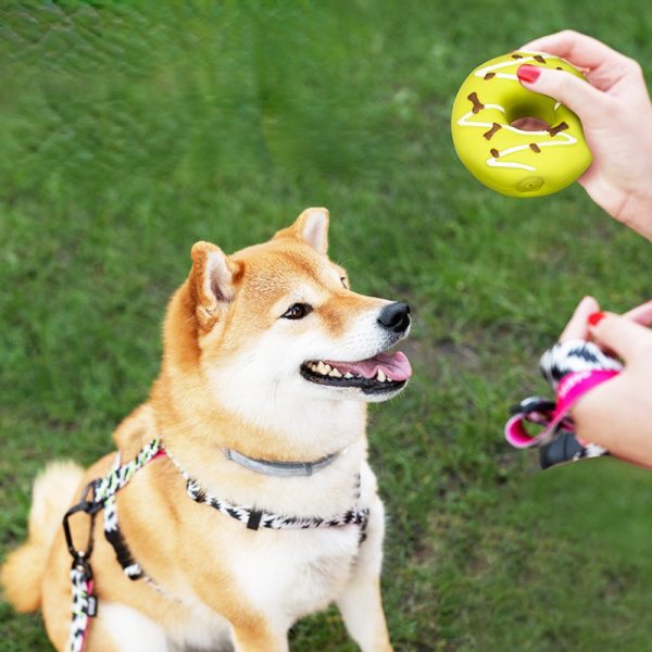 Hundespielzeug Unkaputtbar, Latex-Simulationsdonut mit Baumwollfüllung, Hundespielzeug quietschen, für alle Hunde (3 Stück) – Bild 5