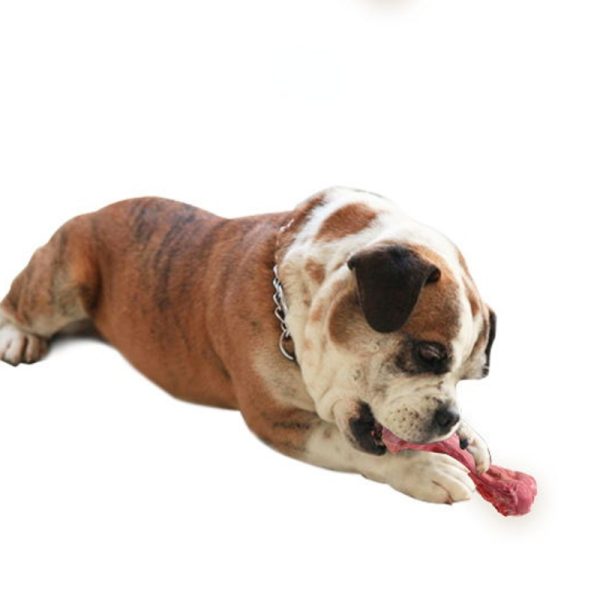 Kauknochen Hund, Simulation Gummi große Knochen, Kauspielzeug für Hunde, Zahnpflege & Beschäftigung für alle Hunde – Bild 3