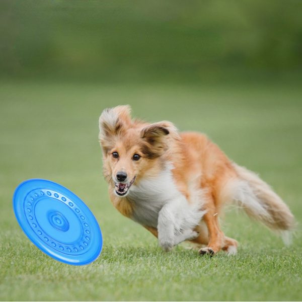 Hundespielzeug Unkaputtbar, TRP Blaue Hundefrisbee, Hund Spielzeug mit Funktion, Wasserspielzeug Hund, Drei Größen erhältlich – Bild 6