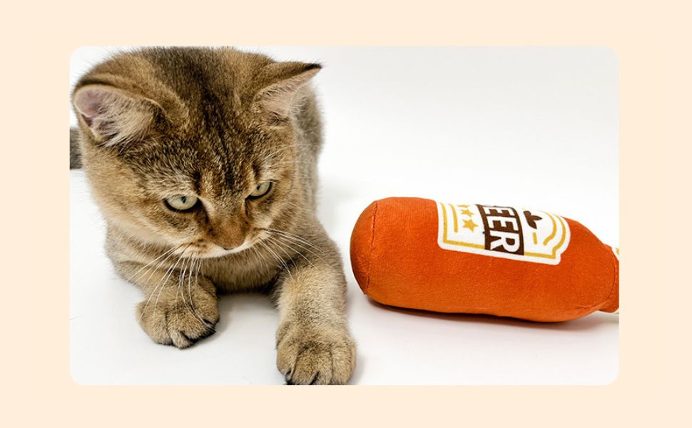 warum beißt mich meine katze - Pawsometime