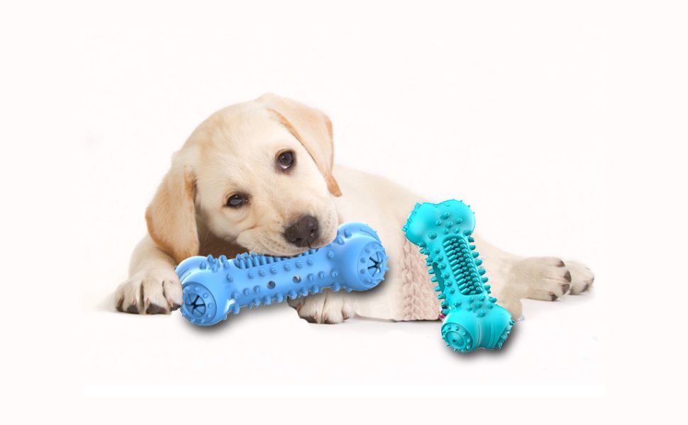 Linderung der Trennungsangst bei Hunden - Pawsometime
