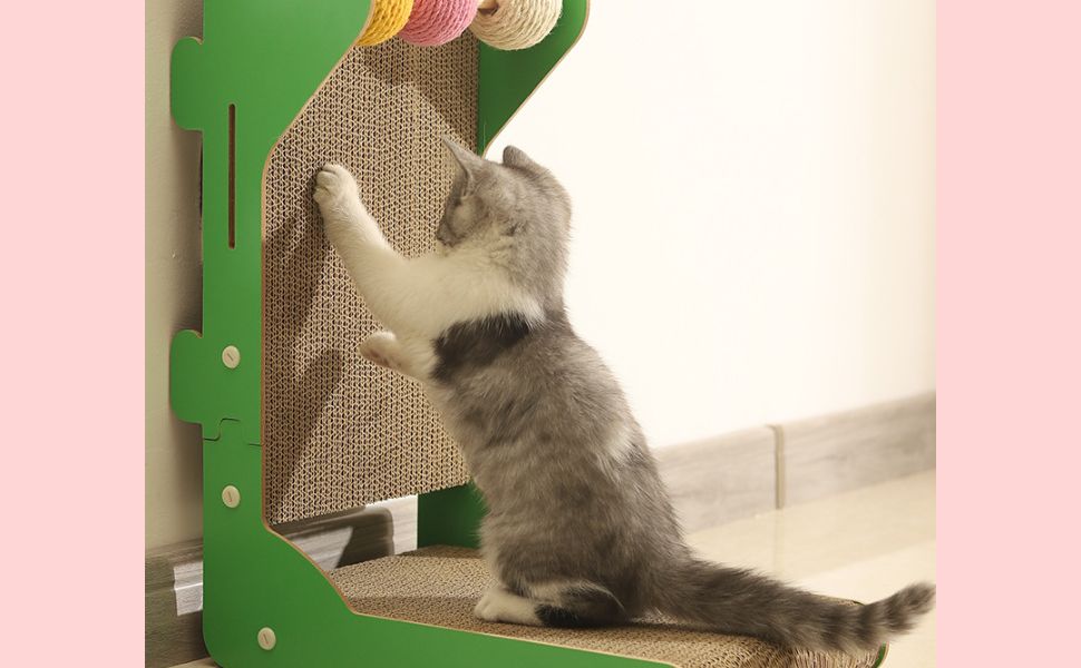 Kratzverhalten verstehen: Wenn Stress und Langeweile die Krallen schärfen - Pawsometime