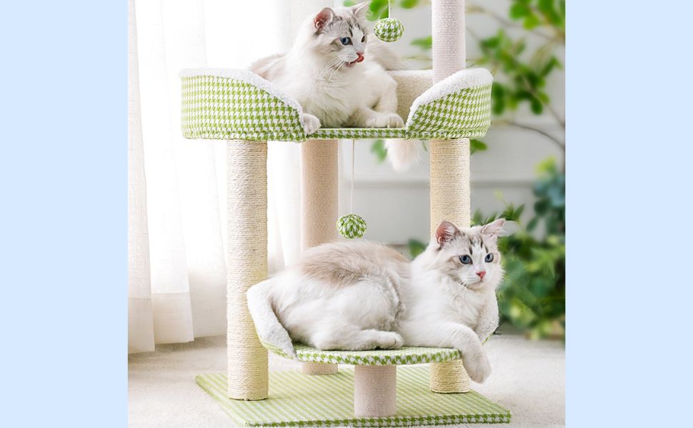 Der ideale Kratzbaum für Katzen mit Arthritis - Pawsometime