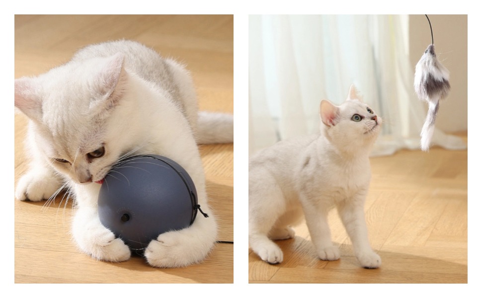 Beschäftigungsspielzeug für Katzen - Pawsometime
