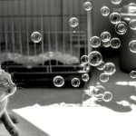 Was mögen Katzen nicht?
