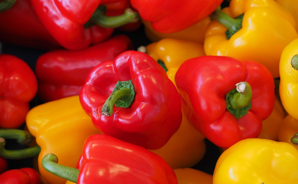 rot und gelb Paprika - Pawsometime