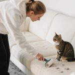 Gibt es Katzen, die nicht haaren?