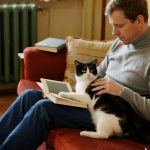 Warum beißt mich meine Katze beim streicheln?