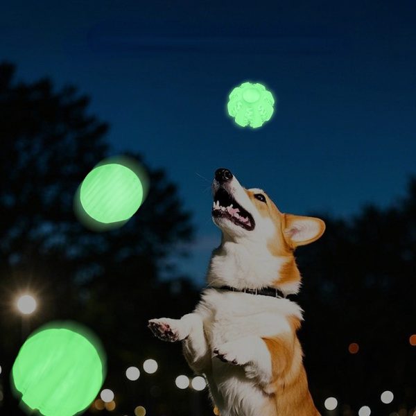 Hundespielzeug, TPR Hundeball Leuchtend für Wurfspiel, Intelligenzspielzeug Hund in Drei Größen – Bild 4