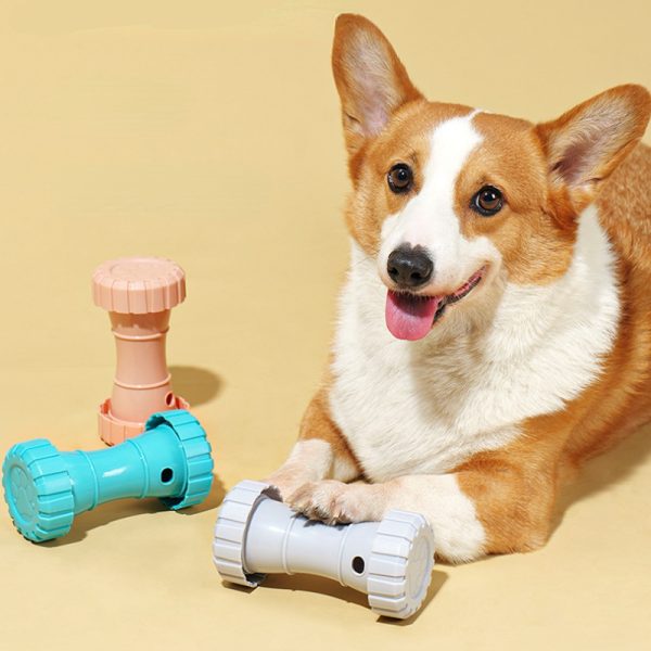 Hunde Intelligenzspielzeug, Hantel Futterspielzeug aus ABS, 3er Set für 7,5x7,5x15 cm, Slow Food-Training – Bild 8
