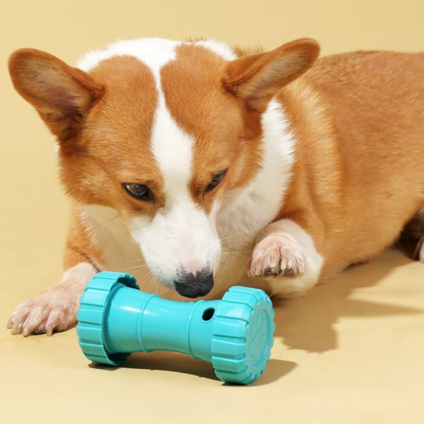 Hunde Intelligenzspielzeug, Hantel Futterspielzeug aus ABS, 3er Set für 7,5x7,5x15 cm, Slow Food-Training – Bild 7