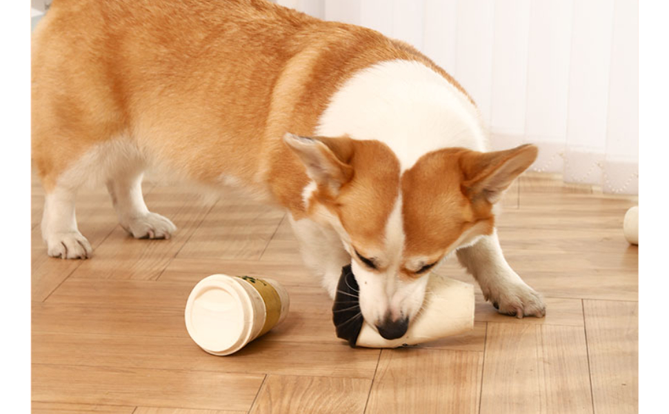 Kauspielzeug für Hunde - Pawsometime