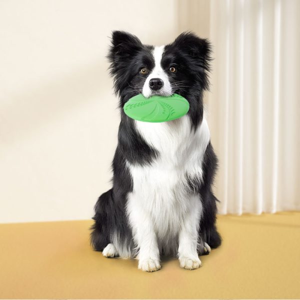 Hundespielzeug, Hundefrisbee, EVA-Weizenährenmuster, Blau und Grün, Wasserspielzeug Hund, Interaktives Hundespielzeug – Bild 5