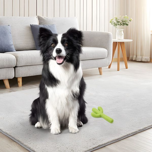 Hundespielzeug Unkaputtbar, Hochwertig, Kaktusform in Gelb-Grün aus Gummi, Beständiges Kauspielzeug für alle Hunderassen – Bild 5