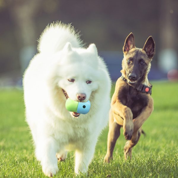 Hunde Intelligenzspielzeug, blaugrüne Hundefutterbälle aus Silikon, Interaktives Wurfspielzeug Hund, Entspannung und Glück – Bild 6