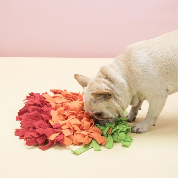 Hunde Intelligenzspielzeug, Schnüffelmatte, Spielzeug für den Hund, Kauspielzeug & Futterspielzeug für Hunde, Zwei Farben – Bild 4