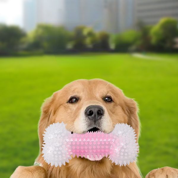 Kauknochen Hund, Gummiertes Knochen Kauspielzeug mit Weiche Dornen, für gesunde Zähne & ausgelassene Spielstunden, Rosa – Bild 4